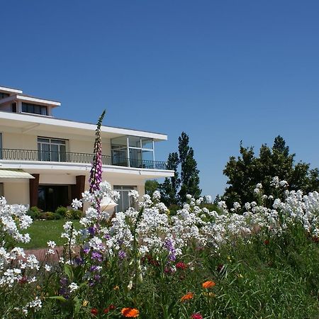 Villa Ayrault Chatillon-sur-Thouet Exterior photo